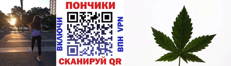 Виды наркотиков купить Кизляр КОКАИН  Галлюциногенные грибы  APVP  Бошки Шишки  Мефедрон 