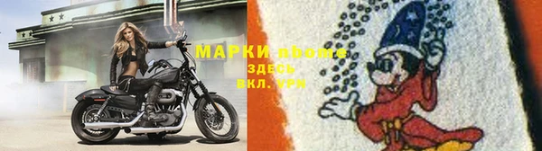 прущие грибы Абаза