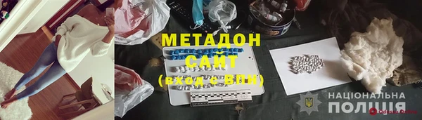прущие грибы Абаза
