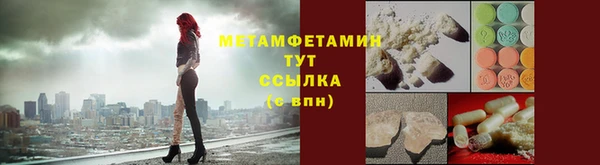 прущие грибы Абаза