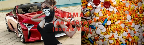 прущие грибы Абаза