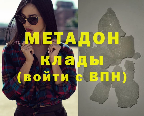 прущие грибы Абаза