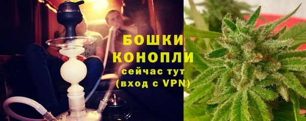 ПСИЛОЦИБИНОВЫЕ ГРИБЫ Покров
