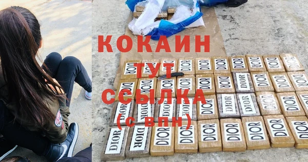 ПСИЛОЦИБИНОВЫЕ ГРИБЫ Покров