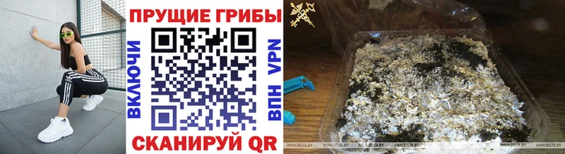 где найти это Telegram Псилоцибиновые грибы ЛСД Кизляр